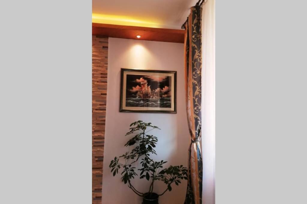 Oasis Felix Apartment Belgrado Exterior foto